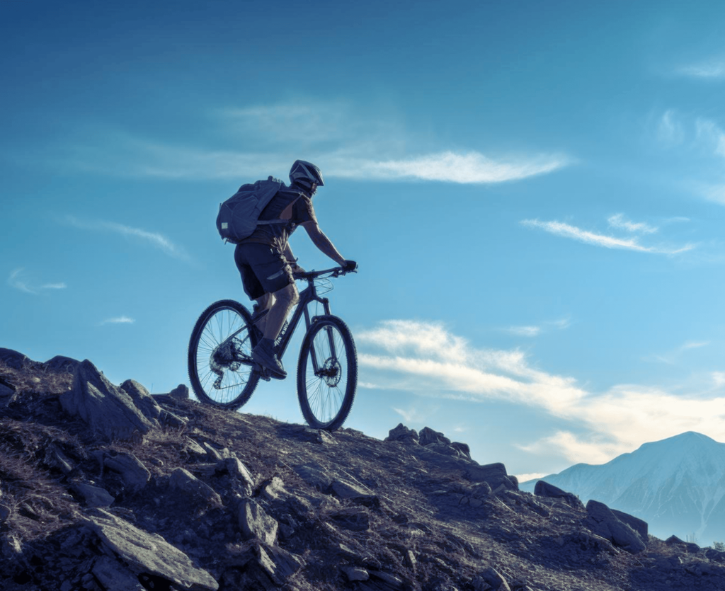 Noleggio mountain bike